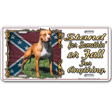 Stand for Somethin' or Fall for Anything Car Tag 17070-5758
