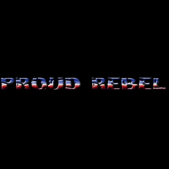 17032-11 Proud Rebel Windshield Decal
