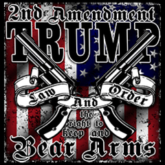 3702-V2 TRUMP THE RIGHT TO BEAR ARMS 