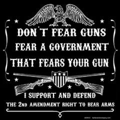 4055-V2 DON'T FEAR GUNS FEAR A GOVERNMENT 