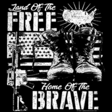 6715-V2 LAND OF THE FREE, HOME OF THE BRAVE