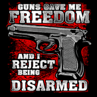 5829-V2 ALL AMERICAN GUNS GAVE ME FREEDOM