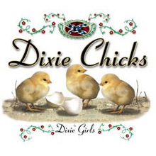 4140L DIXIE CHICKS - YOUTH