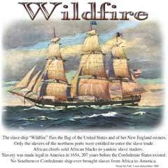 5932L WILDFIRE SHIP ( POL CORR 